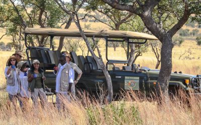 Self-drive like a Pro at iKhaya LameDube Game Lodge