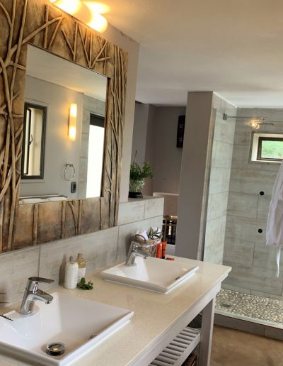 Luxury Bush Villa interior bathroom and shower