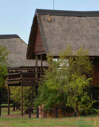 Log Cabins exterior